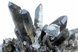 Natural Smoky Quartz Crystal Cluster ( lbs) - Brazil #78116-2